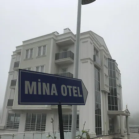 Gold Mina Otel 3*