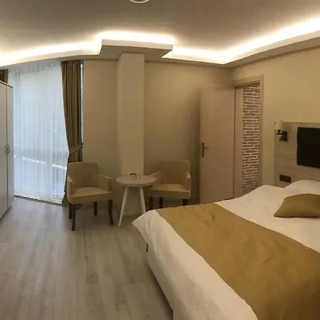 Otel Gold Mina 3*